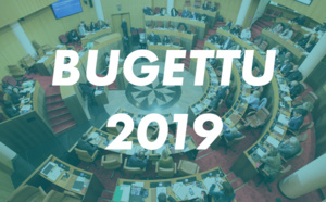 Budget 2019