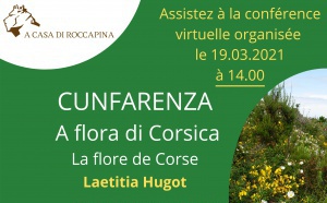 Cunfarenza : A flora di Corsica