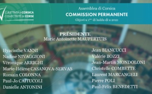 Election des membres de la Commission permanente - Election des Vice-Présidents de l'Assemblée de Corse