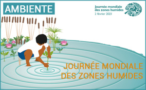 Journée mondiale des zones humides 2023 : A Cullettività di Corsica sempre impignata in u ristoru di l’ambienti umidi