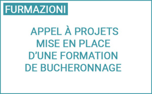 Appel à projets : mise en place d’une formation de bucheronnage