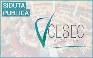 Séance du CESEC de Corse du jeudi 7 mars 2024 : installation de la mandature 2024-2030