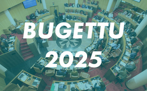 Budget 2025