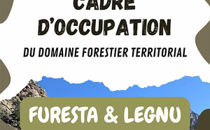 Accupazioni di u duminiu furistieru tarrituriali
