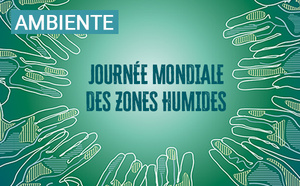 Journée mondiale des zones humides 2026 : A Cullettività di Corsica sempre impignata in a prutezzione di l’ambienti umidi 