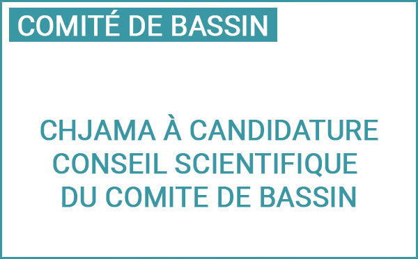 Chjama à candidature : rejoignez le Conseil scientifique du Comité de bassin de Corse
