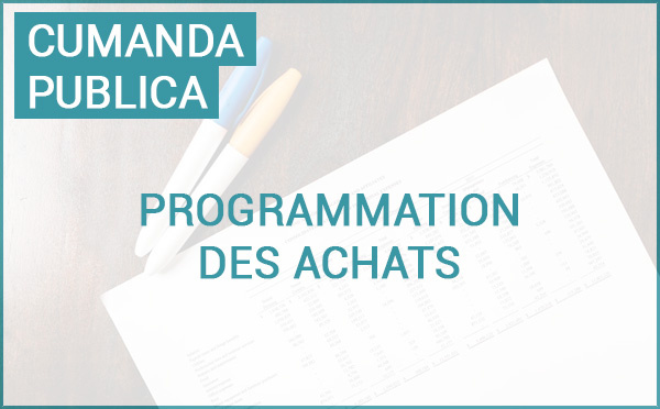 Commande publique : programmation des achats de la Collectivité de Corse 2026-2027