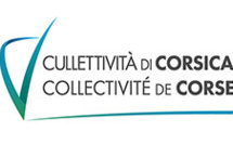 Election des représentants professionnels des assistants maternels et familiaux à la Commission consultative paritaire départementale de la Haute-Corse