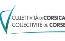 Avis d’appel à projet relatif à la création d'un dispositif expérimental d’hébergement  et d’accompagnement des mineurs non accompagnés (MNA) en mode d’accueil diversifié et en parrainage