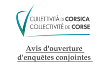 Avis d'ouverture d'enquêtes conjointes