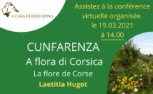 Cunfarenza : A flora di Corsica