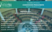 Election des membres de la Commission permanente - Election des Vice-Présidents de l'Assemblée de Corse