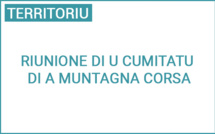 Riunione di u Cumitatu di a Muntagna corsa - Réunion du Comité de Massif de Corse