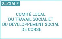 Installation du comité local du travail social et du développement social de Corse