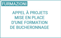 Chjama à prugetti : Mise en place d’une formation de bucheronnage