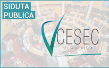 Séance du CESEC de Corse du jeudi 7 mars 2024 : installation de la mandature 2024-2030