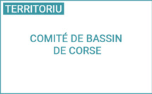 Riunione di u Cumitatu di Conca : prugramma d’intervenzione 2025-2030 di l’Agenza di l’acqua Rodanu Mediterraniu Corsica 