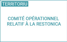 4a riunione di u Cumitatu di messa in opera rilativu à a Restonica : bilanciu di a statina 2024 è pruspettiva pè u 2025 
