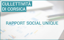 Raportu suciale unicu di a Cullettività di Corsica per l'annu 2024