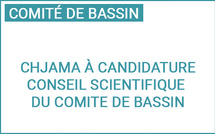 Chjama à candidature : rejoignez le Conseil scientifique du Comité de bassin de Corse
