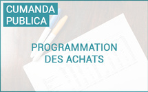 Commande publique : programmation des achats de la Collectivité de Corse 2026-2027