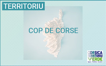 Reunione anninca di a COP di Corsica, u 2 di lugliu in Bastia