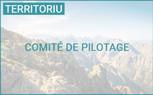 Comité de pilotage « Stratégie de sobriété foncière (ZAN) » et Conseil de l'aménagement et de l'urbanisme de la Corse
