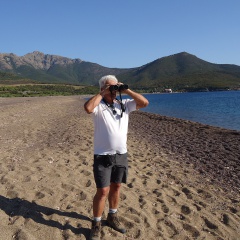 Surveillance et valorisation Surveillance et valorisation