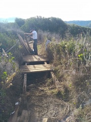 Préservation et entretien