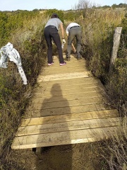 Préservation et entretien