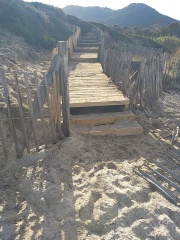 Préservation et entretien