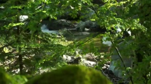 Le film de l'édition 2013