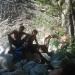 Photo 008