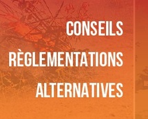 Adopru di u focu 2026 Adopru di u focu 2026