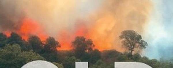 Obligazioni legali di diraschera 2026