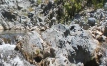 Riunione di u Scagnu di a Camera di i Territorii, u 10 di ferraghju di u 2025