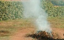 Arrêté emploi du feu en Pumonte